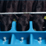 Achieving sustainable workloads on dairy farms