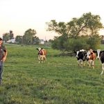 Challenges explored at international dairy summit