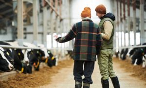 Consultant grants available to Pa. dairies