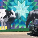 Dairy cows add zest to old brick building