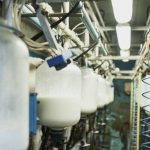 Dairy market rebound-still looks uncertain