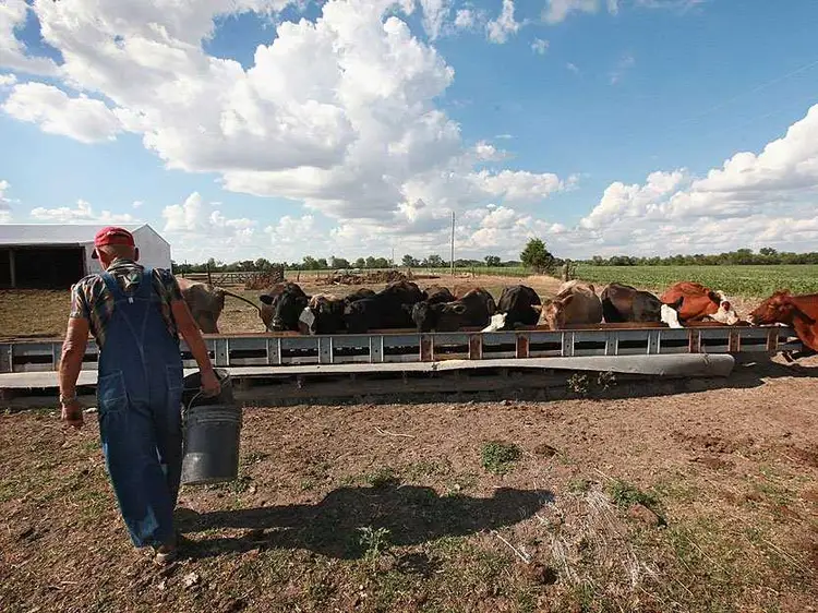 Farm bill timeline may depend on 'dairy cliff