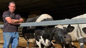 Farmer forced to dump 14,000 litres of milk as tanker drivers, dairy factory workers strike