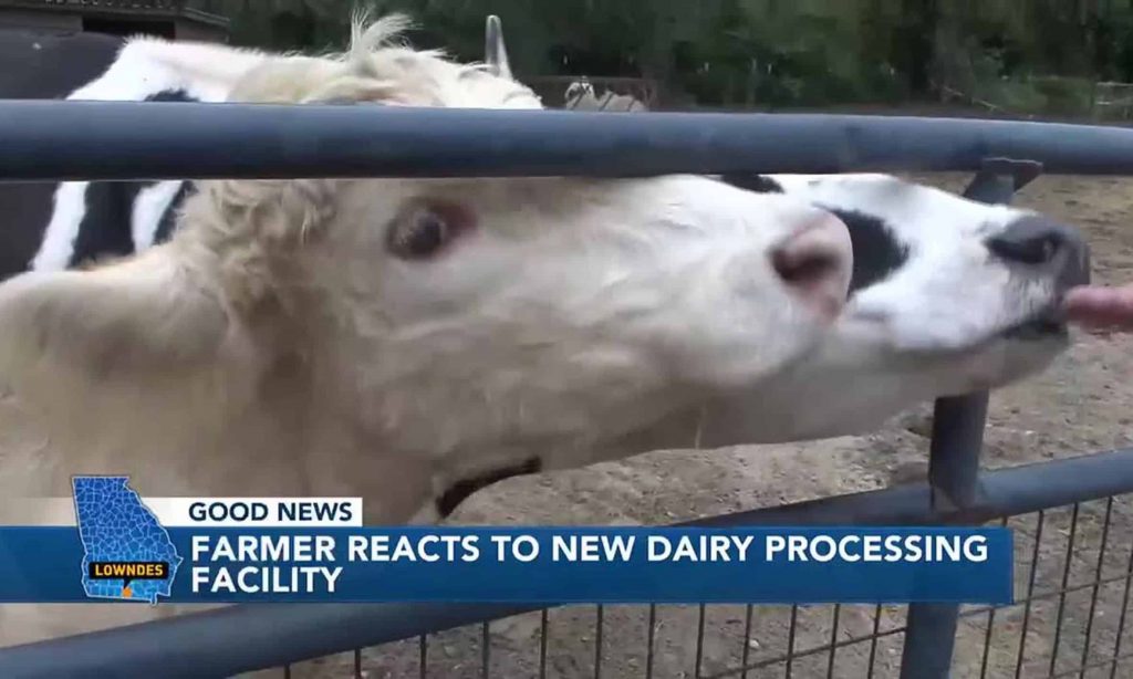 Local farmer reacts to new dairy processing plant opening in Lowndes Co.