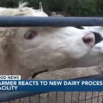 Local farmer reacts to new dairy processing plant opening in Lowndes Co.