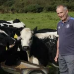 OFFALY DAIRY FARMER SAYS ‘THERE’S ABSOLUTELY NOTHING FOR US IN THIS BUDGET