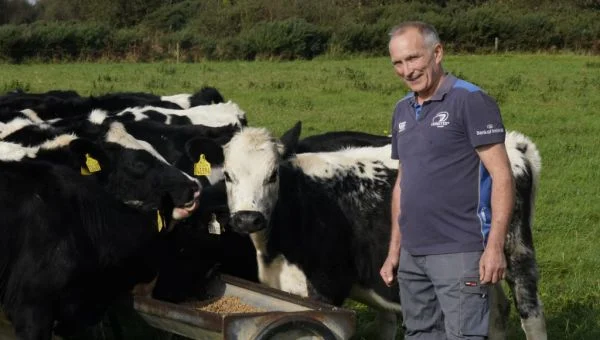 OFFALY DAIRY FARMER SAYS ‘THERE’S ABSOLUTELY NOTHING FOR US IN THIS BUDGET