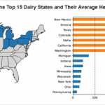 Production Trends in the US Dairy Sector