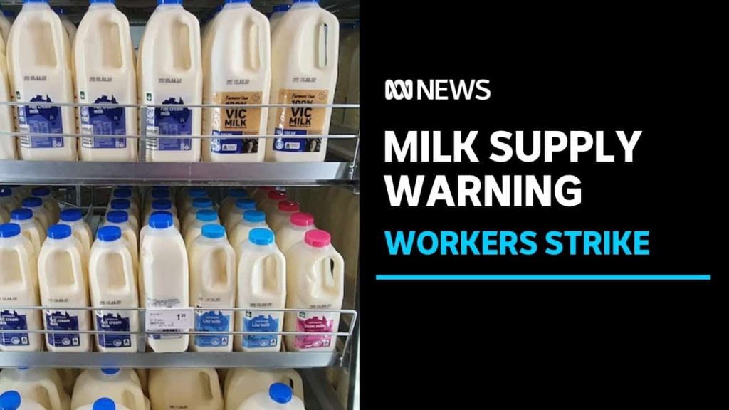 Striking dairy workers warn of milk shortages in Victoria