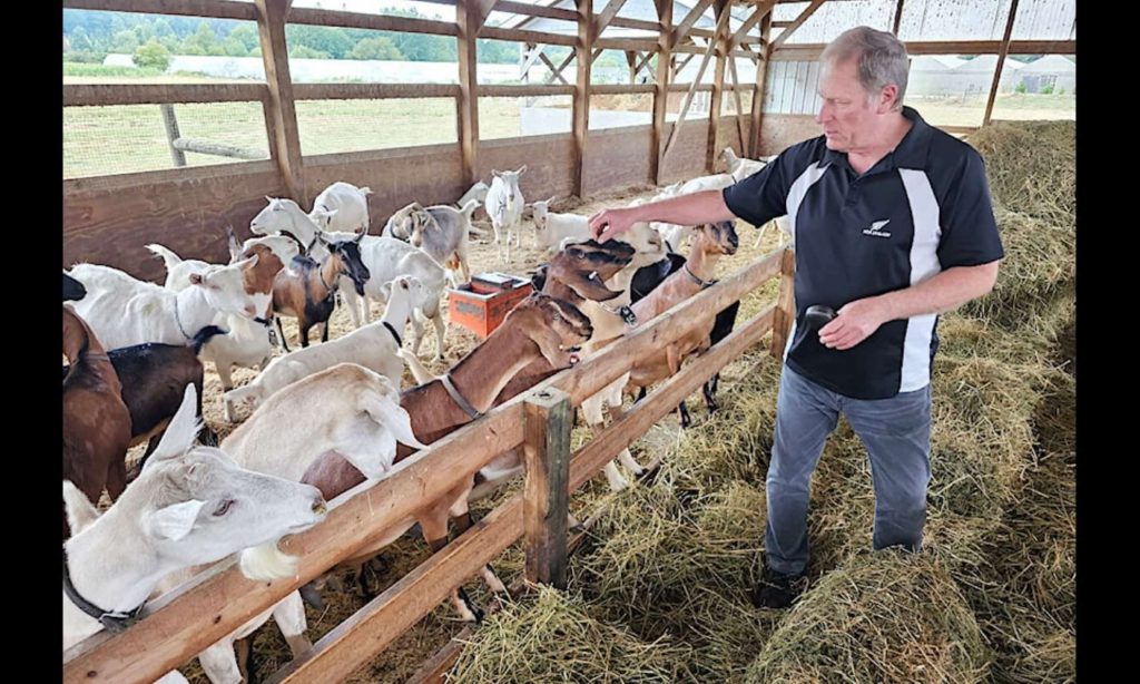 Trip worth making Langley artisanal cheese shop has loyal customers