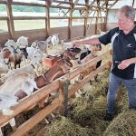 Trip worth making Langley artisanal cheese shop has loyal customers