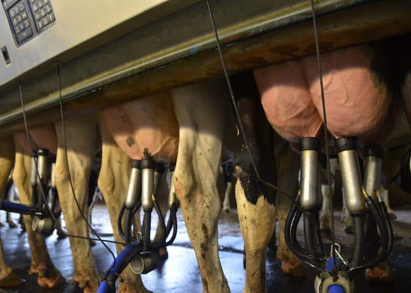 USDA raises milk production estimate