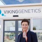 VikingGenetics Calls for Sustainable Dairy Farming and Aims to Achieve a Significant Reduction in Cattle Emissions by 2050