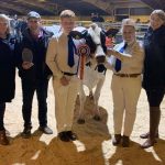 West of Scotland Dairy Show at Ayr attracts all