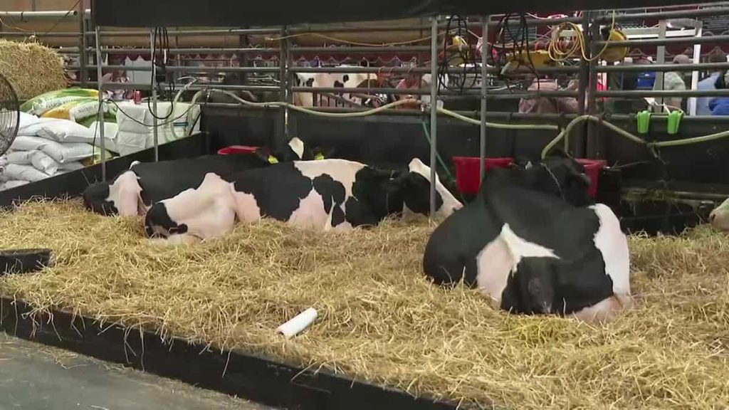 World Dairy Expo brings over 100 countries to Madison