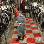 A Lasting Legacy for Dairy Science