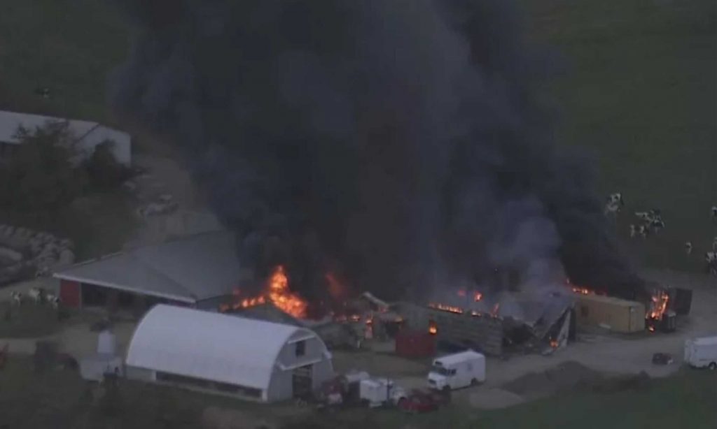 Brunton Dairy working to rebuild after fire, will be at least a year before milk is back on shelves