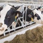 Canadian Dairy Commission delays farmgate milk price hike by three months