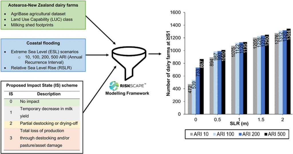 Dairy farming exposure and impacts from coastal flooding and sea level rise in Aotearoa-New Zealand