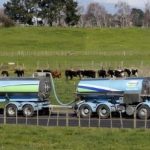 Dairy prices fall, volumes drop at auction -GDT Events