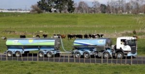 Dairy prices fall, volumes drop at auction -GDT Events