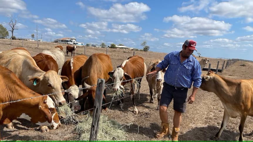 Desperate farmers face grim November forecast as dams, tanks, bores run dry across Queensland