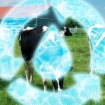 How dairy farms are rethinking their water use