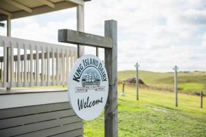 Iconic Tasmanian cheese manufacturer faces possible sale by global owner. Image / Stu Gibson (Tourism Tasmania)