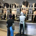 Michigan Dairy Labor Supply Pressures