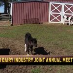 NMPF Chairman Mooney Discusses Dairy's Strength Through Consensus