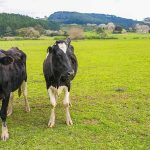 Nestlé welcomes Fonterra Scope 3 announcement