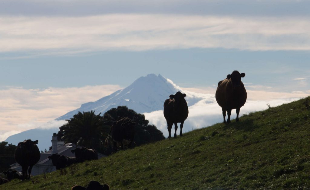 New Zealand Commodity Prices Extend Gains on Dairy, Dollar