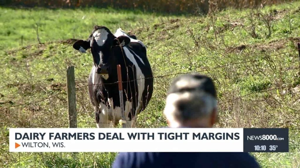 Small western Wisconsin dairy farmers face narrowing financial margins