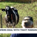 Small western Wisconsin dairy farmers face narrowing financial margins