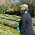 Taranaki dairy factory turned lavender farm up for sale