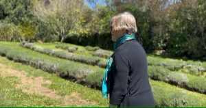 Taranaki dairy factory turned lavender farm up for sale