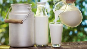 Ukraine’s dairy exports up by 17% in Oct