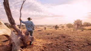 What is happening on Australian farms