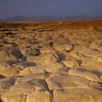 A lesson for farmers from the Danakil Depression