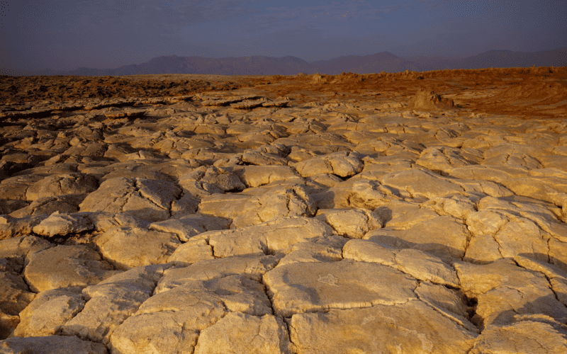 A lesson for farmers from the Danakil Depression