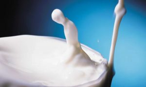 House Votes to Reinstate Whole Milk in Schools