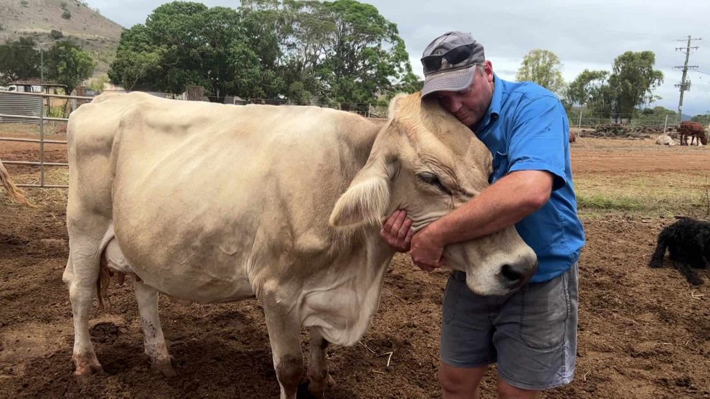 Australia's shrinking dairy industry continues to wither as milk is trucked across the country