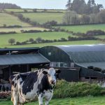 Calls for 37 cL milk price with supplies down as Global Dairy Trade returns modest gains