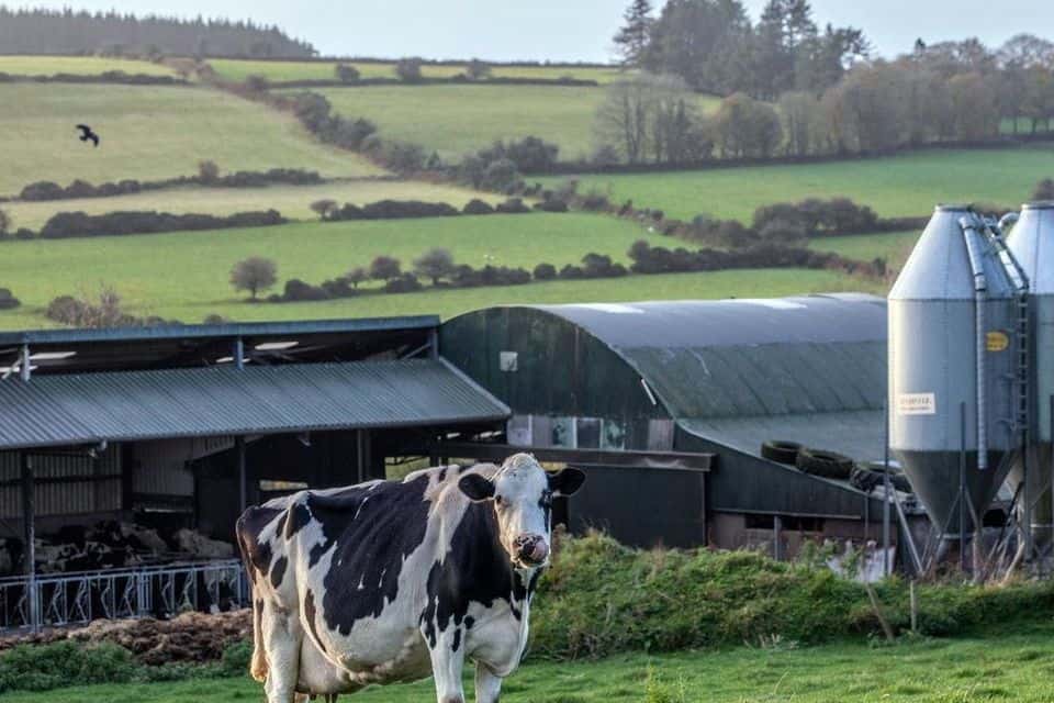 Calls for 37 cL milk price with supplies down as Global Dairy Trade returns modest gains