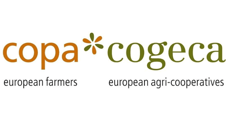 Copa-Cogeca advocates for balanced reforms in animal transport rules