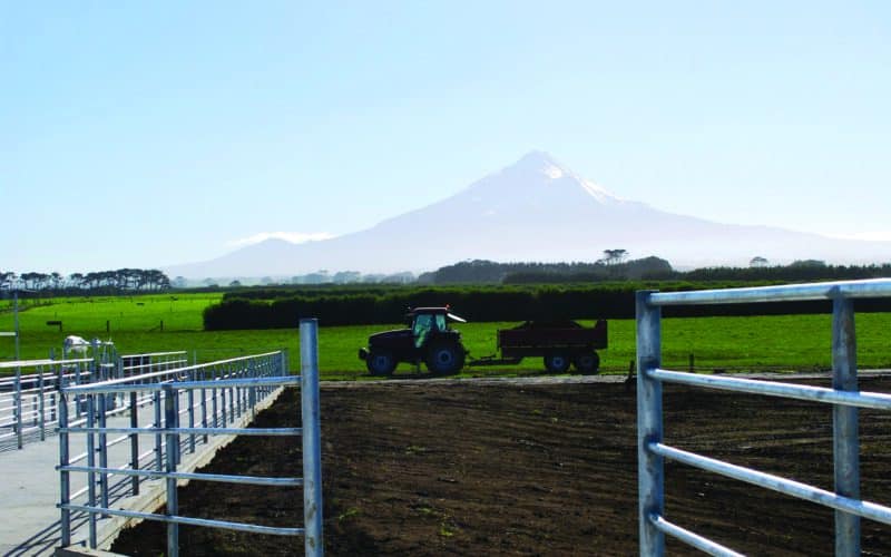 Dairy dilemma on the slopes of a soggy icon