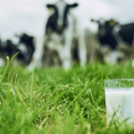 Dairy farmers losing patience- ICMSA