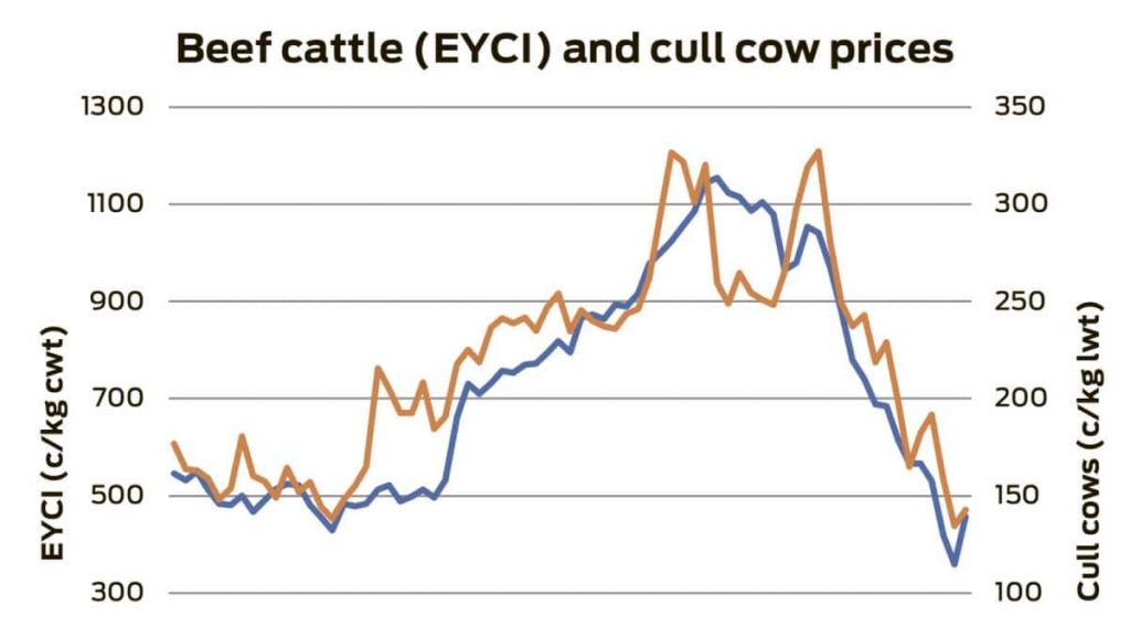 Diversification dynamics are changing