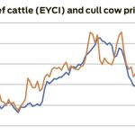 Diversification dynamics are changing