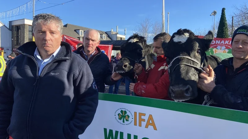 Farmers protest outside ministers' offices in Cork